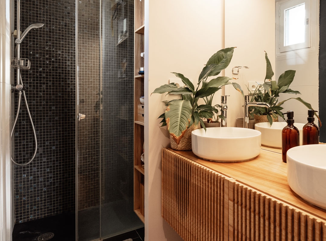 EXTENSION BOIS ET ZINC
