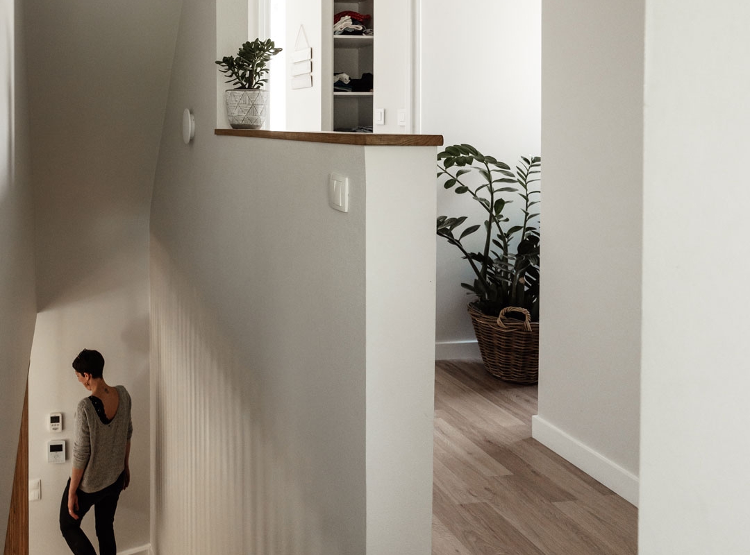 EXTENSION BOIS ET ZINC
